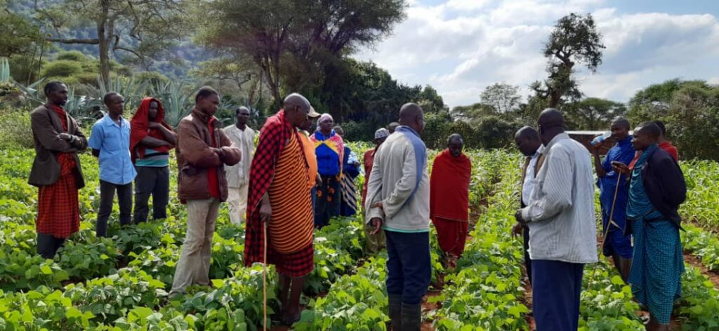 Consultation on crop production on organic farming techniques and value addition