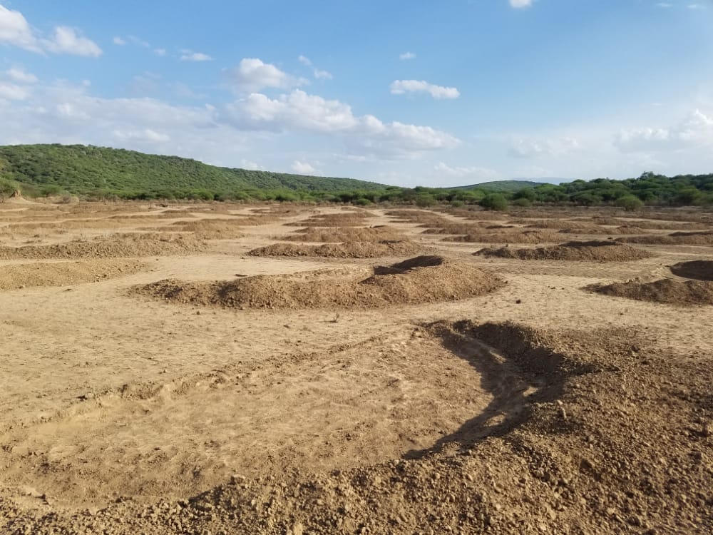 Environmental Restoration or rehabilitating technologies