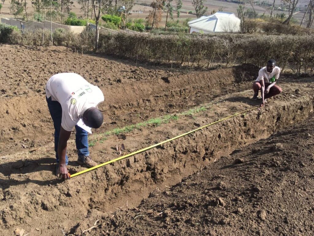 Crop and grass or pasture land restoration