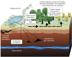 Carbon sequestration Appraisal (EX Ante Carbon Tool)