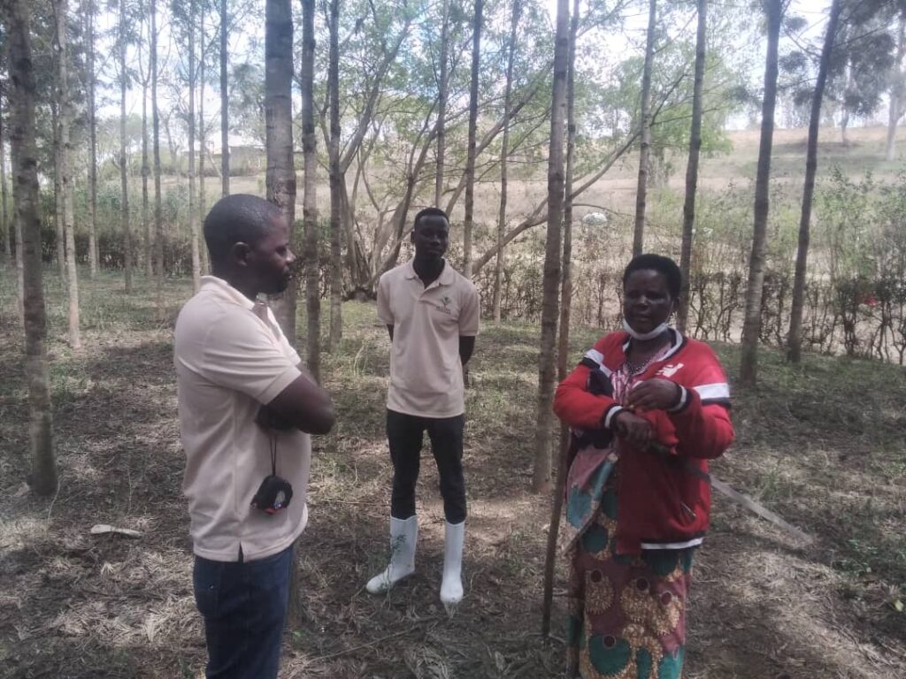 Forestry management