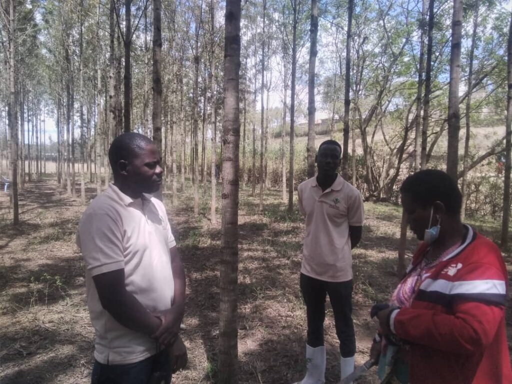 Agroforestry